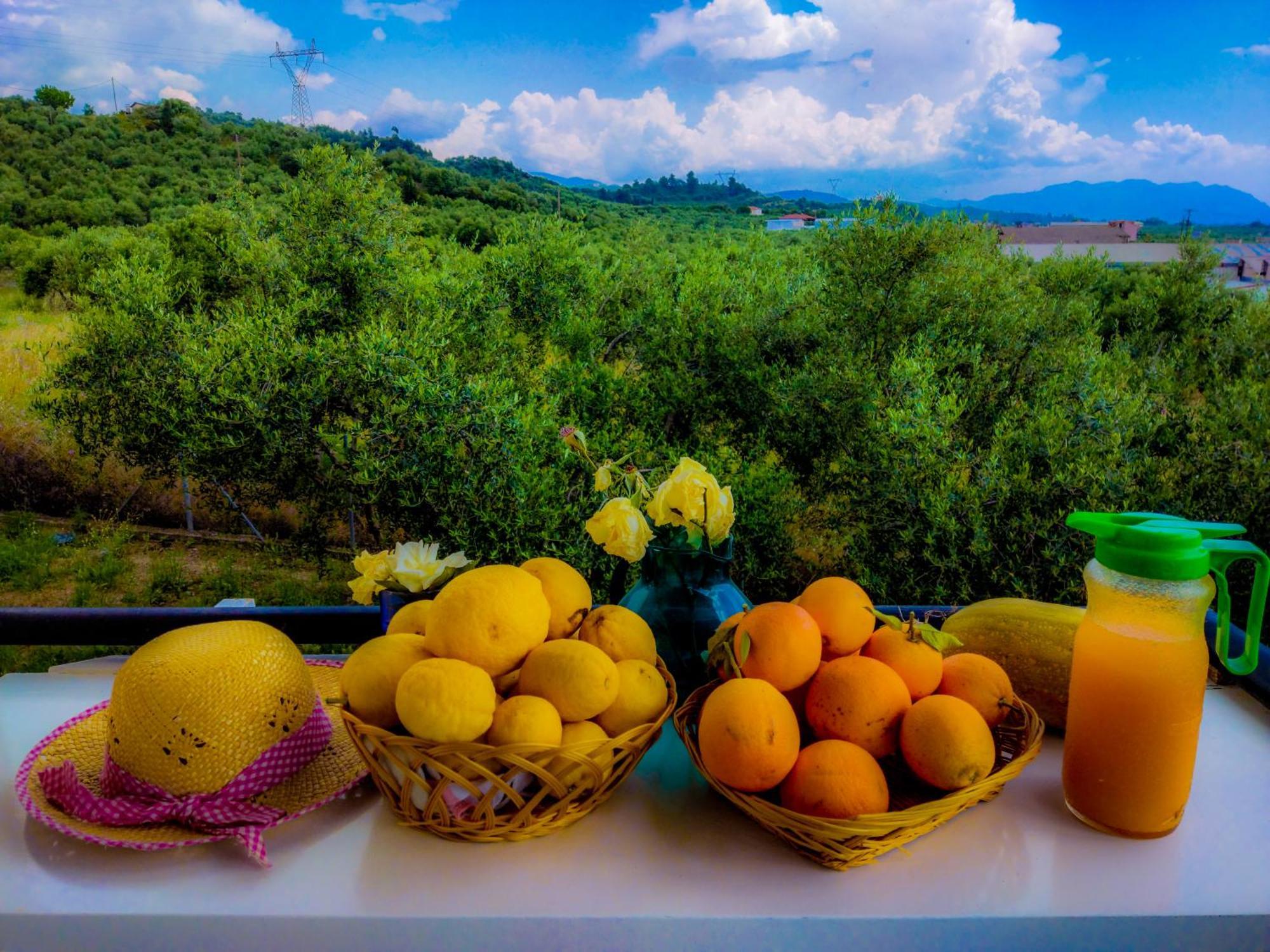 Your Spot West Peloponnese Shared Countryhouse Захаро Экстерьер фото